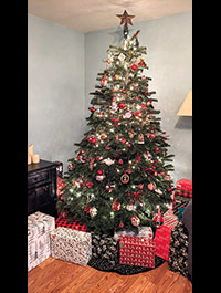 Reader Sarah M's Christmas Tree